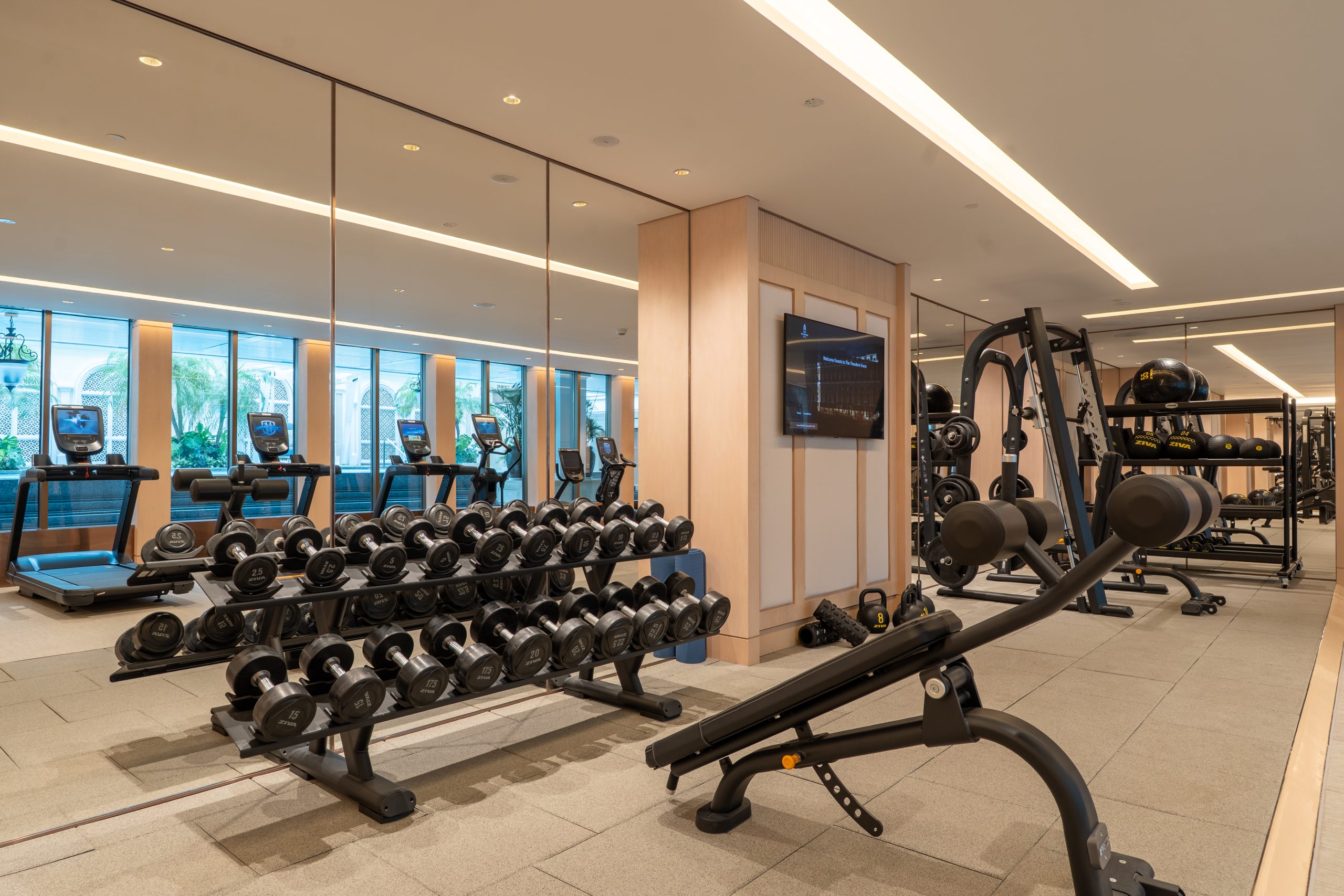 Wellness