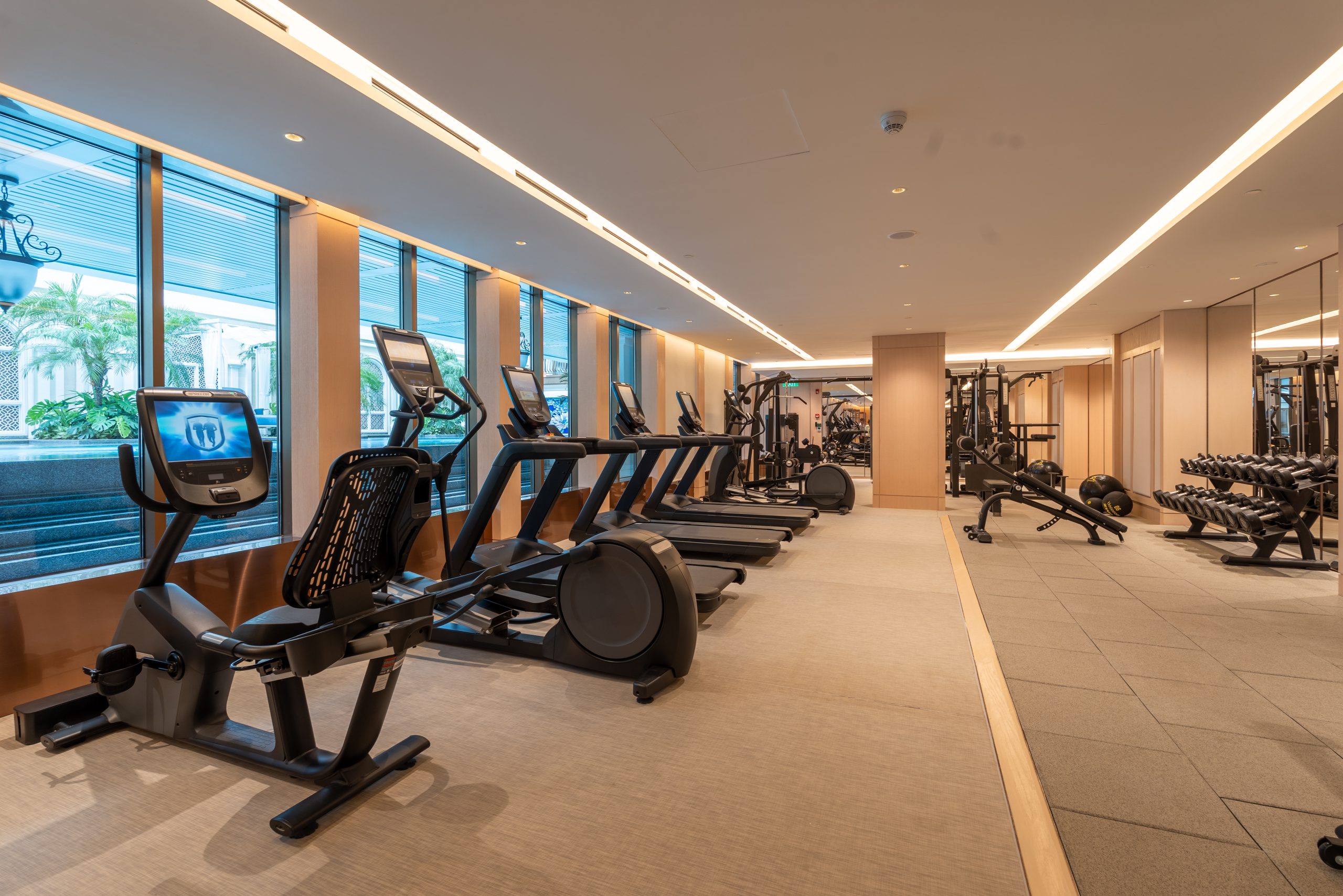 Wellness